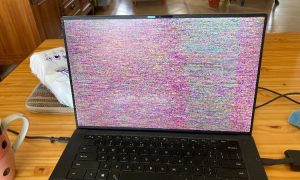 XPS159500screenflickerfreezeco-a5f4ce8d-99b6-4288-b084-8a3fd5a08d0c-418985061